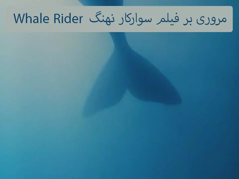 مروری بر فیلم سوارکار نهنگ Whale Rider | داده بنیان چیستا